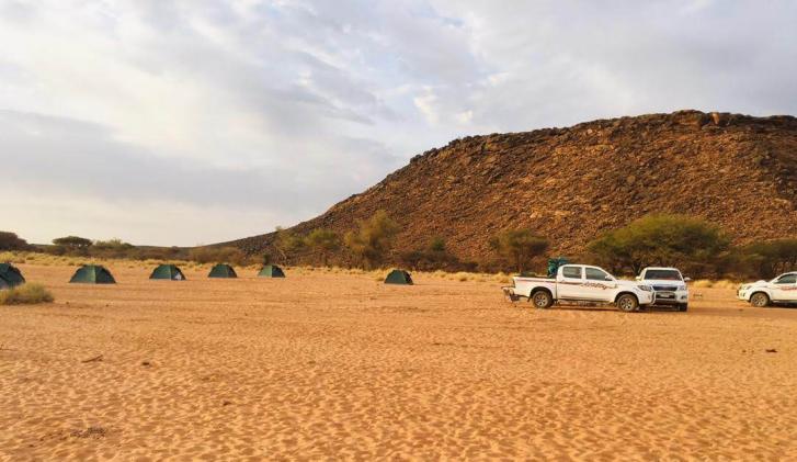 Nubian Desert