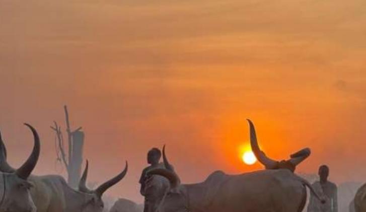Three days and two nights South Sudan